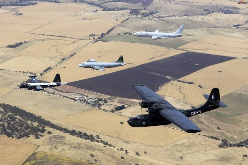 雷速-Rookie赛事官方发布问鼎冠军新规，澳大利亚队争议不断！的简单介绍